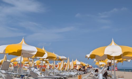 WhatsApp Image 2026-01-05 at 15.34.04